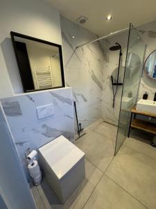 a bathroom with a shower and a toilet and a sink at Cozy apartment in Utrecht in Utrecht +6 photos
