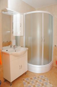 Koupelna v ubytování Apartmani Višnjić + 37 fotografií