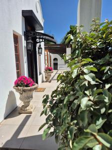 a courtyard with potted plants on the side of a building at De Kaapse Rust Guesthouse & Venue in Parys +11 photos