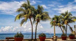 a row of palm trees inront of the ocean at Fiesole Residence Inn in Dumaguete +47 photos