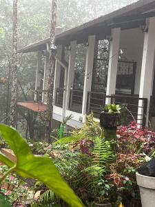 Afbeelding uit fotogalerij van La Casa del rio in Los Altos de Cerro Azul