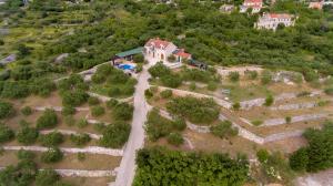 Gallery image of Villa Oliva in Podgora