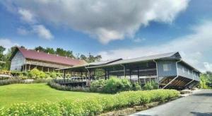 a large building with a green yard in front of it at Borneo Hotel in Pontianak