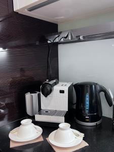 Παροχές για τσάι/καφέ στο Room Korunní dvur