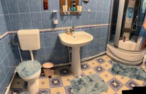 een badkamer met toilet en wastafel bij Casa Alecu 