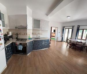 een keuken met een spoelbak en een fornuis bij Casa Alecu 