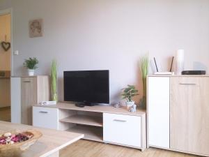 a living room with a television on a wooden table at GUWO Gästewohnung Friedrich-Schiller-Str 28 in Sprucke
