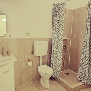 ein Badezimmer mit Toilette und Dusche in der Unterkunft Cazare Clara Cluj in Cluj-Napoca + 19 Fotos