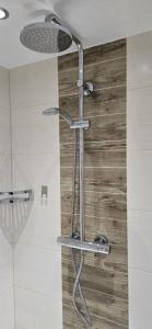 a shower with a shower head in a bathroom at Apartment Hausberger in Mayrhofen