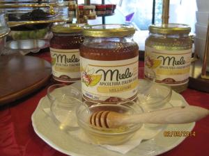 Fotografie z fotogalerie ubytování Hotel Matilde v destinaci Marina di Massa + 73 fotografií