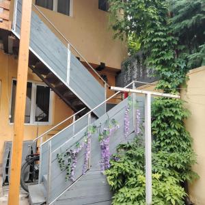 ein Strauß lila Blumen wächst auf einer Treppe in der Unterkunft Cazare Clara Cluj in Cluj-Napoca