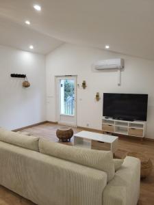 Saint-Martin-de-BrômesLa douceur du verdon的配有沙发和平板电视的客厅