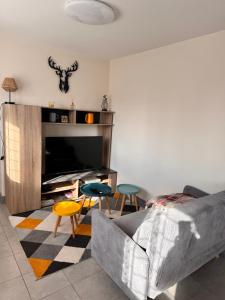 a living room with a couch and a tv at Maison individuelle aux portes de la Sologne in La Ferté-Saint-Aubin