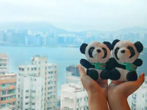 a person holding two stuffed panda bears in their hands at Ramada Hong Kong Grand View in Hong Kong