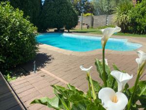 a swimming pool with white flowers in front of it at Juliet Rose Luxury Guesthouse B&B in Bloemfontein