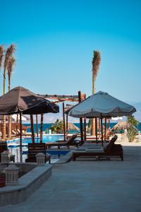 eine Gruppe von Stühlen und Sonnenschirmen neben einem Pool in der Unterkunft Crazy Horse Camp in Nuweiba