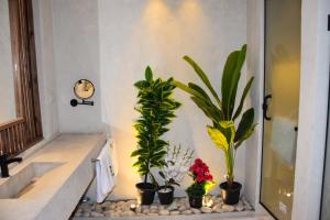 ein Badezimmer mit Topfpflanzen und einem Waschbecken in der Unterkunft Crazy Horse Camp in Nuweiba + 96 Fotos