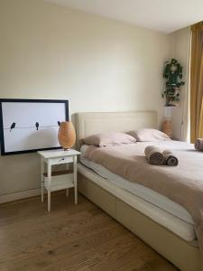 阿姆斯特丹Spacious Room with private king bathroom的一间卧室配有一张床和一张桌子及电视