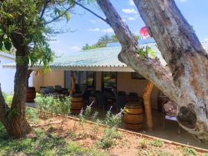 Elle offre une vue sur un patio avec des chaises et des arbres. dans l'établissement Crafted Africa Guest House, à Lilongwe