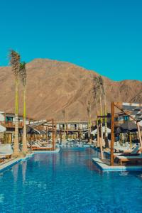 ein Resort mit einem Pool mit Palmen in der Unterkunft Crazy Horse Camp in Nuweiba
