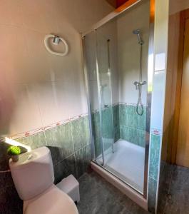 a bathroom with a shower and a toilet at El Rincon de Onís in Bobia de Abajo +15 photos