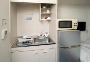 Η κουζίνα ή μικρή κουζίνα στο ドリームビレッジエンシン