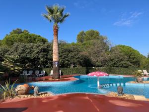 una piscina con palme e sedie di Lagrange Grand Bleu Vacances – Résidence Les Pescalunes ad Agde