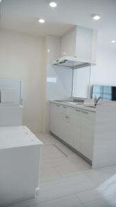 Η κουζίνα ή μικρή κουζίνα στο Opt熊本益城