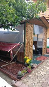 a tent with potted plants in a garden at Clara Family Room in Cluj-Napoca