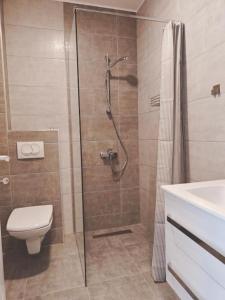 ein Badezimmer mit Dusche, Toilette und Waschbecken in der Unterkunft GREEN HILL Lux Apartments in Sokobanja