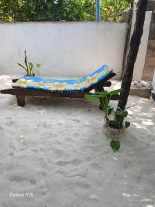 Fotografie z fotogalerie ubytování Naira House v destinaci Jambiani