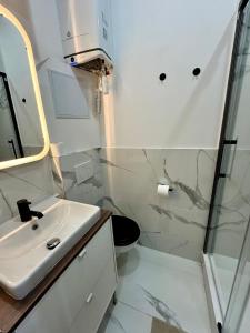 ヴェニシューにあるWild Terrier- Lyon Studioの洗面台とシャワー付きの白いバスルーム +10枚の写真