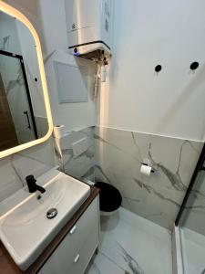 ヴェニシューにあるWild Terrier- Lyon Studioの洗面台と鏡のある白いバスルーム