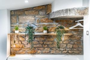 un muro di pietra con due mensole con piante in vaso di Le petit Victor Hugo - studio Bellecour a Lione Altre 20 foto