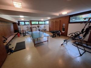 Γυμναστήριο ή/και όργανα γυμναστικής στο Belverde al Lago