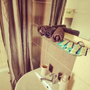 Ένα μπάνιο στο Family or Friends Room