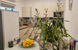 Η κουζίνα ή μικρή κουζίνα στο Apartman Katija Cavtat by Villas Guide