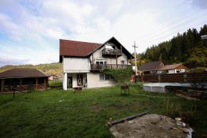 a white house with a red roof and a yard at Ліза in Slavske