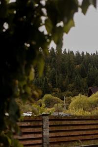 a view of a garden with trees in the background at Ліза in Slavske +3 photos