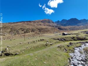 a hill with a herd of sheep in a field at AC Apartaments Centre in Pas de la Casa
