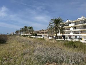 a row of palm trees in front of a building at Apartment Sunset in Cunit