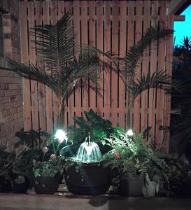 a group of potted plants in front of a fence at Bunya 4 Bedroom at On Burgum Pond Cottages in Maleny