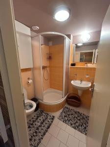 une salle de bain avec une douche, des toilettes et un lavabo dans l'établissement Apartmán v Srdci hor - Říčky v Orlických horách, à Říčky 14 autres photos