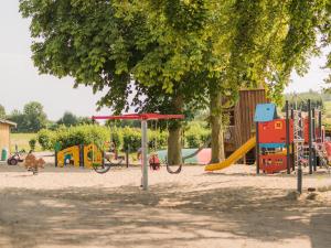 a park with a playground with a slide and a tree at Seestern in Bliesdorf
