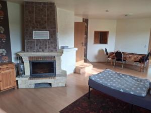 a living room with a fireplace and a couch at Gute Laune 3 in Zapel