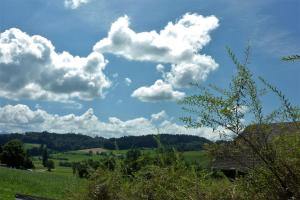 Priroda u blizini of the bed and breakfast
