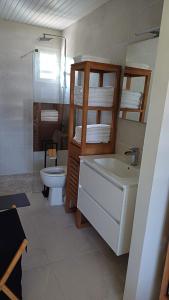 a bathroom with a sink and a toilet and a sink at Bungalow Le Petit Havre Pointois in Basse-Pointe
