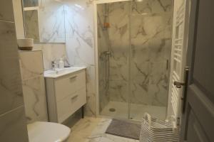 a bathroom with a shower and a toilet and a sink at Appartement Elégant & Raffiné in Noisy-le-Grand