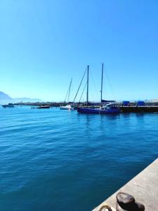 a group of boats are docked in the water at Oppi Kus 35 Seafront in Gansbaai