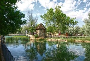 Vue sur la rivière ou le fleuve situé(e) à proximité de l'appartement